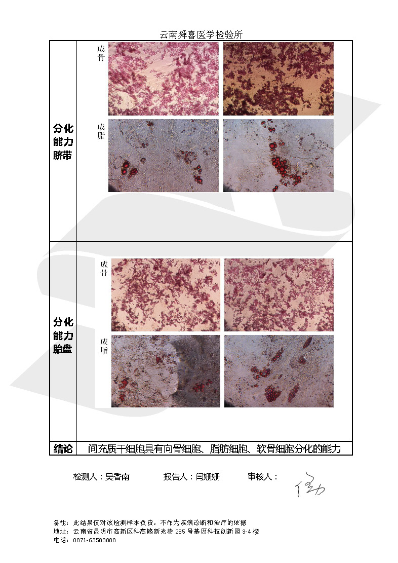 19年间充质干细胞抽检报告_页面_4.jpg