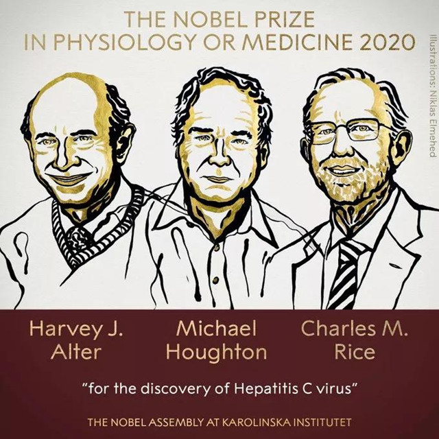 2020诺贝尔医学奖 | 丙肝病毒的发现意义有多重大？