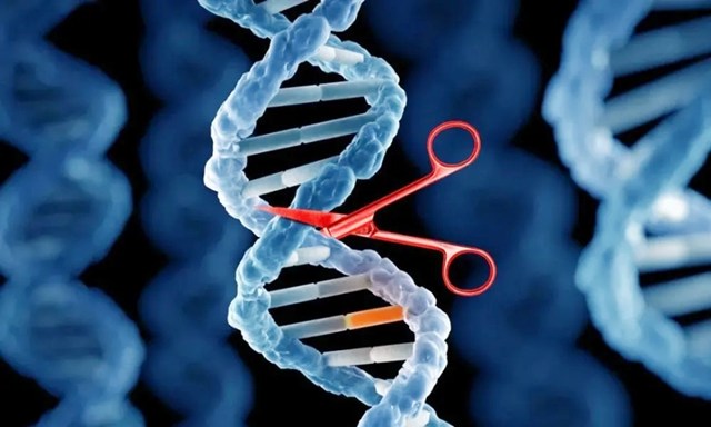 基因魔剪，重写生命密码 ——解读2020年诺贝尔化学奖成果