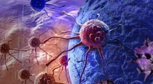 一文读懂NK免疫细胞：抗癌先锋，也是最狠的杀手