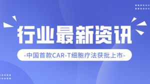 重磅！中国首款CAR-T细胞疗法获批上市！或将迎来细胞疗法井喷时代！