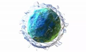 关于肿瘤NK细胞疗法，需要了解的6个真相