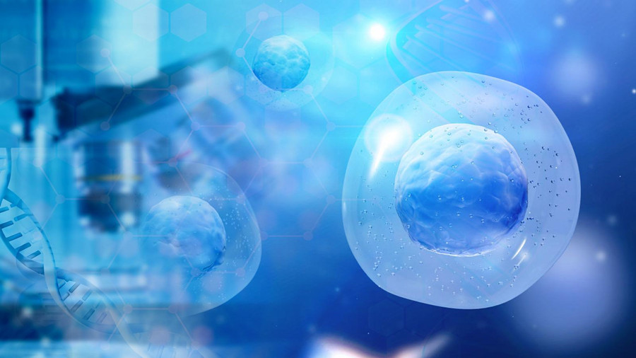 全球干细胞产业发展格局纵览，国内18个干细胞新药获批IND