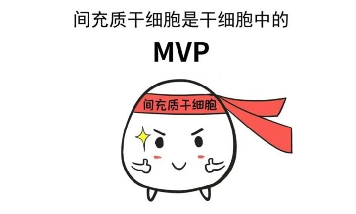藏在身体里的MVP——间充质干细胞，竟然这么厉害！