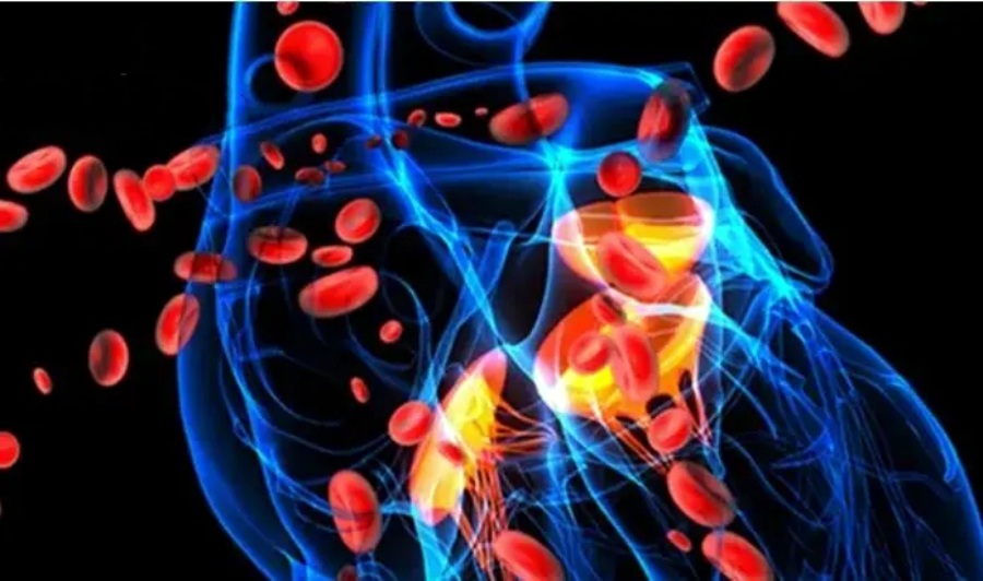 临床试验数据发布！干细胞疗法可降低心脏病发作和中风的风险