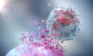 NK细胞疗法进军实体瘤，有望成为新一代抗癌利器