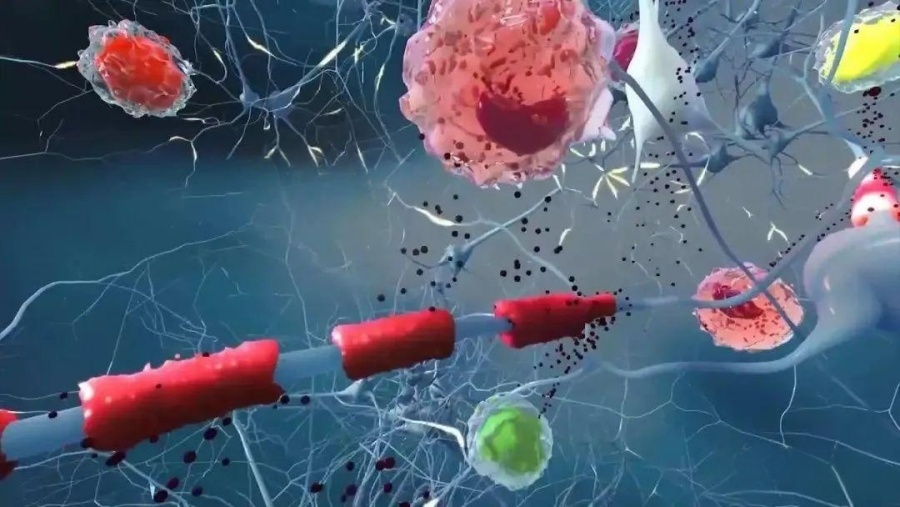 干细胞在神经免疫性疾病中的研究进展，应用潜力巨大