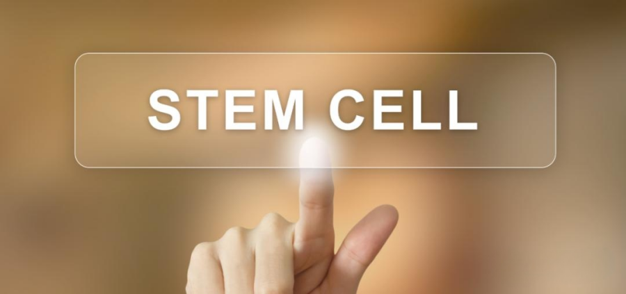 间充质干细胞大家庭！脐带、胎盘和脂肪来源的MSC有什么不一样？