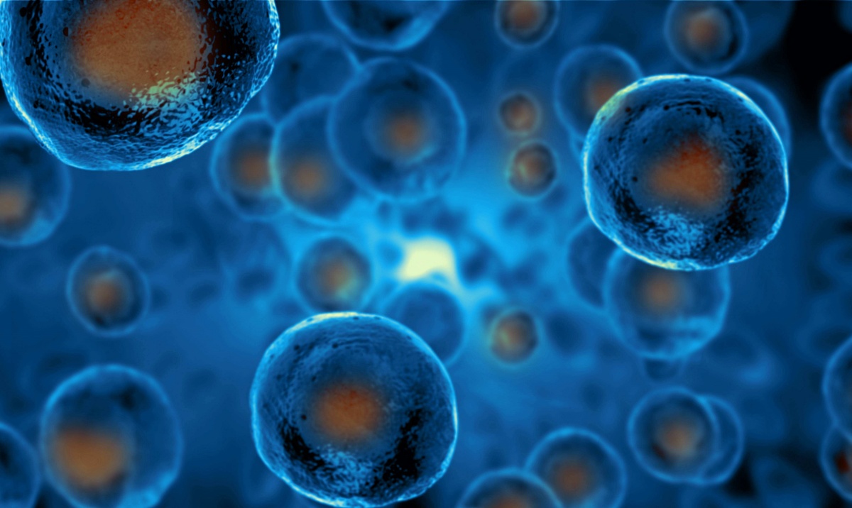 干细胞综述：冲破众多疾病治疗瓶颈，为生命重塑提供无限可能