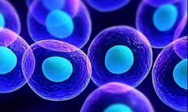 「干细胞疗法」上热搜，干细胞行业爆发在即