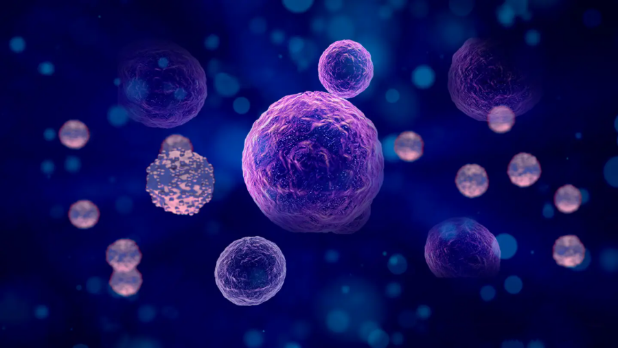 汇总 | 间充质干细胞在多系统疾病中的临床研究